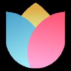 未出席若塔葬禮，葡足協主席維護C羅：外界針對他的言論很不公平